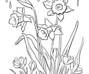 Coloriage Fleurs de printemps sous les premiers gouts de pluie