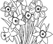 Coloriage et dessins gratuit Fleurs du printemps en noir et blanc à imprimer