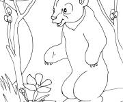 Coloriage Gros Ours qui cherche du miel au printemps