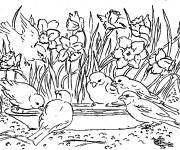 Coloriage et dessins gratuit Groupe des oiseaux en Printemps à imprimer