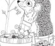 Coloriage H&eacute;risson au printemps
