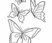 Coloriage et dessins gratuit Jolis papillons en volant à imprimer