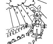 Coloriage Lapin plantant des l&eacute;gumes dans les champs au printemps