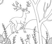 Coloriage Les animaux de la foret au printemps