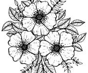 Coloriage Les fleurs tulipes du Printemps