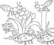 Coloriage Les insectes du Printemps