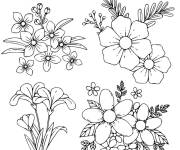 Coloriage Les jolis fleurs du Printemps