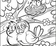 Coloriage Les parent oiseaux amoureux sur l'arbre du printemps