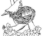 Coloriage Maman oiseau qui nourrit ses petits en Printemps