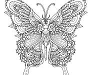 Coloriage Mandala Printemps papillon pour adulte