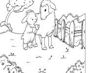 Coloriage Mouton et agneau en plein air