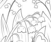 Coloriage Muguet au printemps