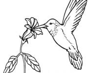 Coloriage Oiseau et nocturne des fleurs en Printemps