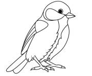 Coloriage Oiseau m&eacute;sange charbonni&egrave;re du printemps