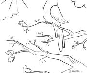 Coloriage Oiseau qui Champs qui gazouille sur l'arbre