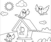 Coloriage Oiseaux devant leur maison