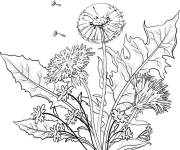 Coloriage On aime tous ls fleurs du printemps