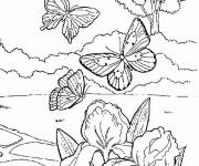 Coloriage Paysage de la compagne en Printemps