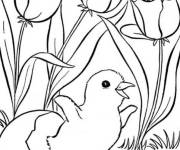 Coloriage Poussin en plein air