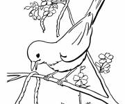 Coloriage Un oiseau et un ver au Printemps