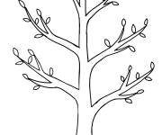 Coloriage Une arbre qui commence a pousser les feuilles au printemps