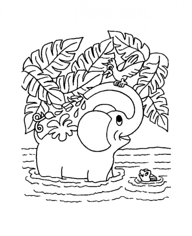 Coloriage et dessins gratuits Éléphant dans la Rivière à imprimer