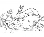 Coloriage Les Lapin sur La Rivière