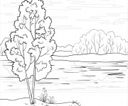 Coloriage et dessins gratuit Rivière et la Nature à imprimer