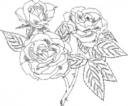 Coloriage et dessins gratuit Bouquet Roses facile à imprimer