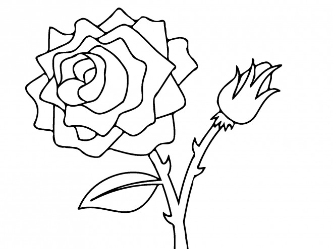 Coloriage et dessins gratuits Deux Roses à imprimer