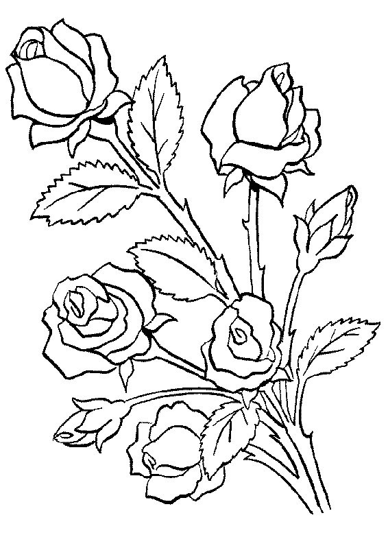 Coloriage et dessins gratuits Fleurs en couleur à imprimer