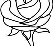 Coloriage Rose à dessiner facile