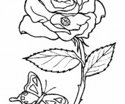 Coloriage Rose d'amour