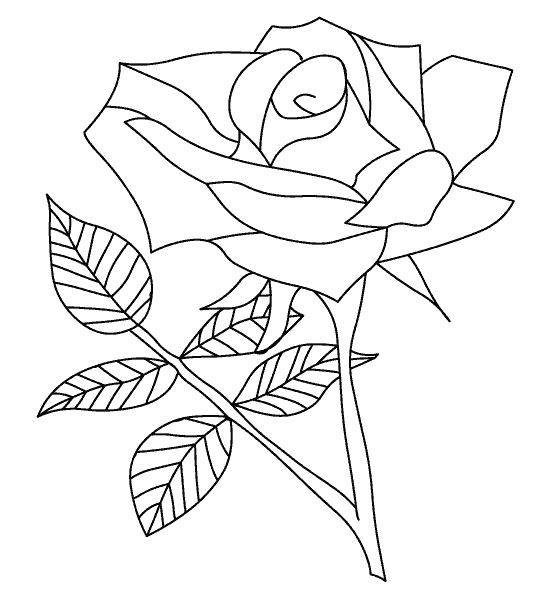 Coloriage Rose de Printemps couleur dessin gratuit à imprimer