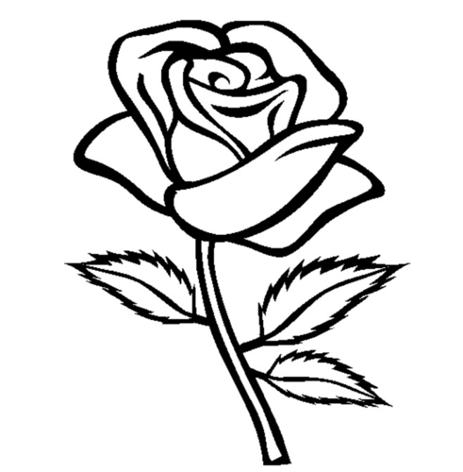 Coloriage Rose En Noir Dessin Gratuit à Imprimer