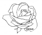 Coloriage Rose rouge au crayon