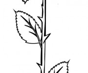 Coloriage Rose vecteur simple