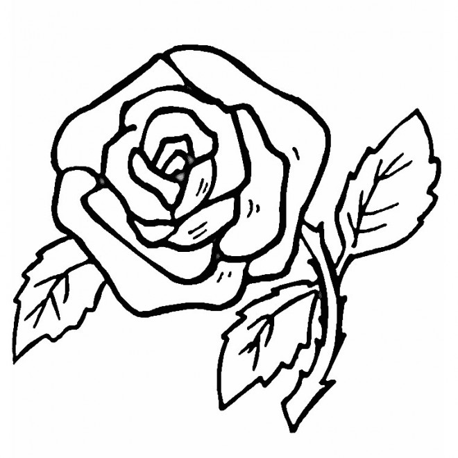 Coloriage et dessins gratuits Roses au crayon à imprimer