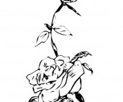 Coloriage Roses au crayon magnifique
