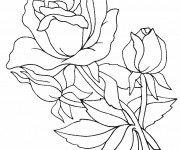Coloriage Roses et fleurs