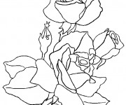 Coloriage Roses et Plantes de Printemps