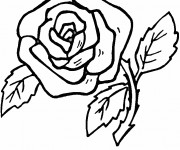 Coloriage Roses pour t&eacute;l&eacute;chargement