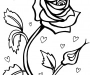 Coloriage Roses Romantiques