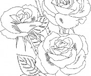 Coloriage Roses sur ordinateur