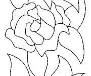 Coloriage Roses tout &agrave; fait simple