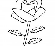 Coloriage Une Rose stylisé simplement