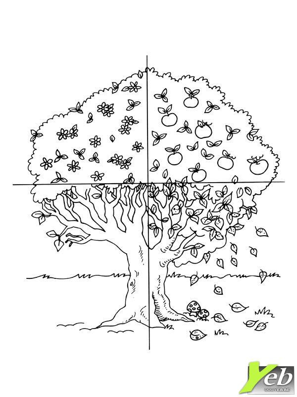 Coloriage Arbre En Quatres Saisons Dessin Gratuit à Imprimer