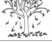 Coloriage Arbre sans Feuilles couleur