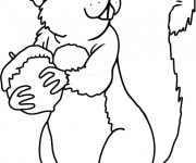 Coloriage &Eacute;cureuil et Fruit pr&eacute;f&eacute;rable