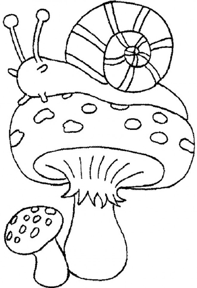 Coloriage Escargot En Automne Dessin Gratuit à Imprimer